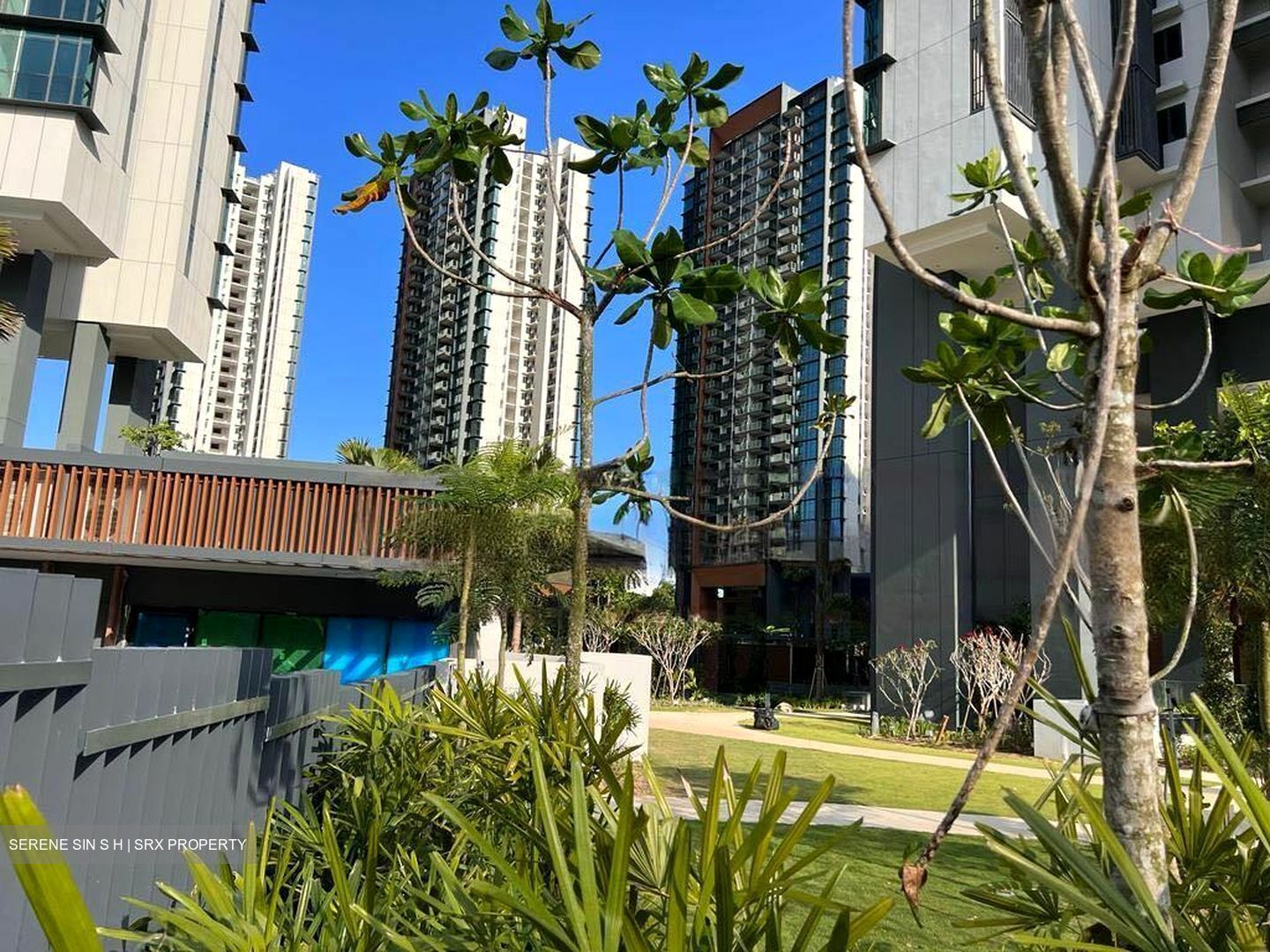 Normanton Park (D5), Apartment #480415631
